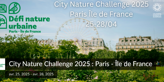 Bannière city nature challenge