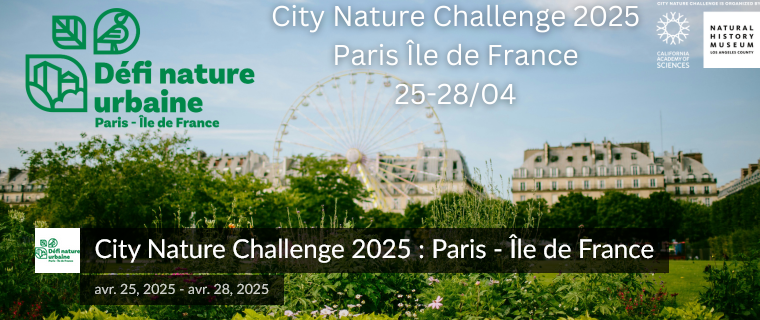 City Nature Challenge 2025