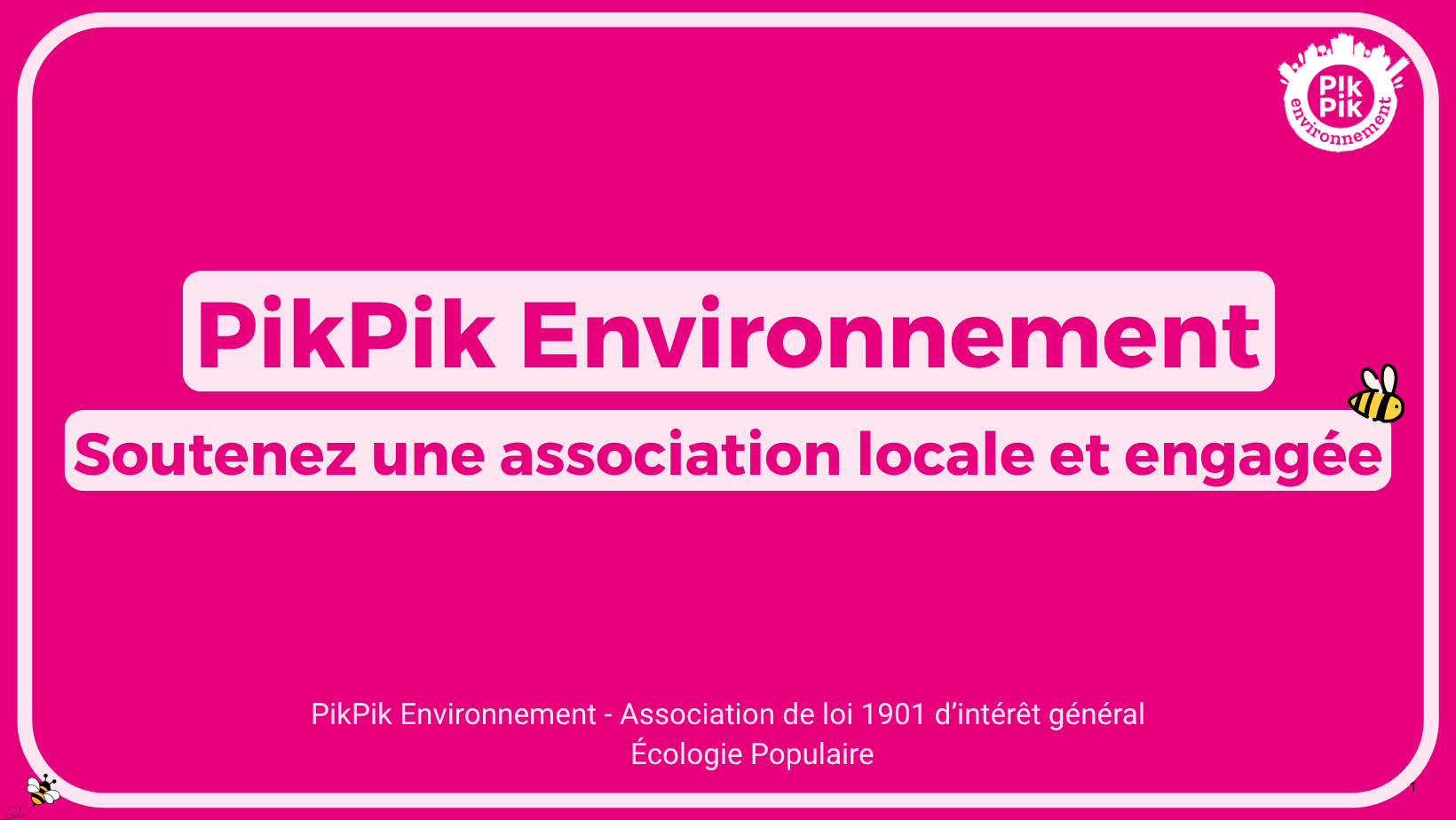 Campagne de dons - Présentation PikPik